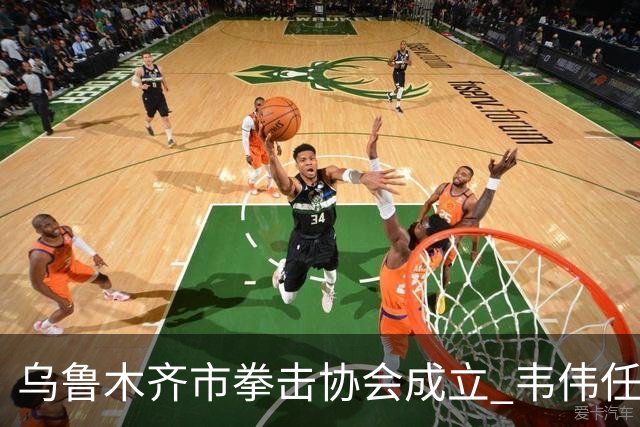 乌鲁木齐市拳击协会成立 韦伟任会长